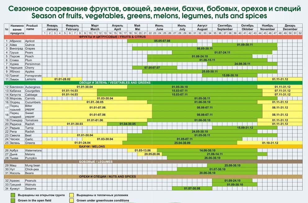 Карта сезонности продуктов